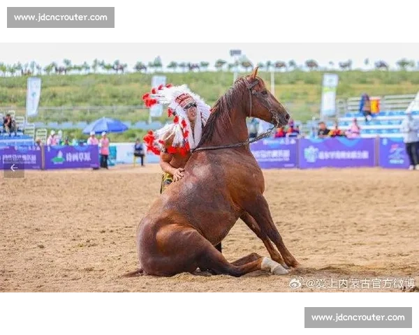 巅峰对决！国内顶级马术赛在邯郸激情开赛